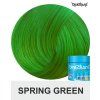spring green directions 100