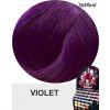 violet 1010066