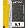 6 1 VIT