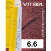 6 6 VIT