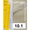 10 1 VIT