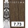 7 73 teotema