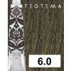6 0 teotema
