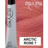 8118 arctic rose 7 doprodej