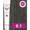 6 1 yo barva