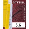 5 6 VIT