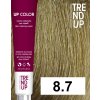 Trend Up Barva Vitis 8.7 světlá blond matná