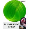 fluorescent green 1010011