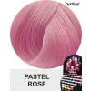 pastel rose 1010018