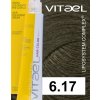 6 17 VIT