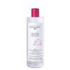 025028 solution micellar clear 250