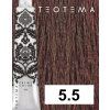 5 5 teotema