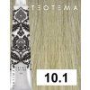 10 1 teotema