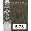 5 73 teotema