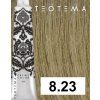 8 23 teotema