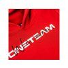 MEN'S HOODIE WE ARE ONETEAM