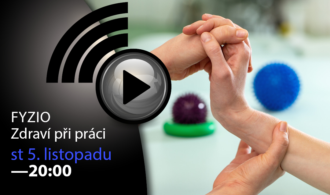 FYZIO - Zdraví při práci