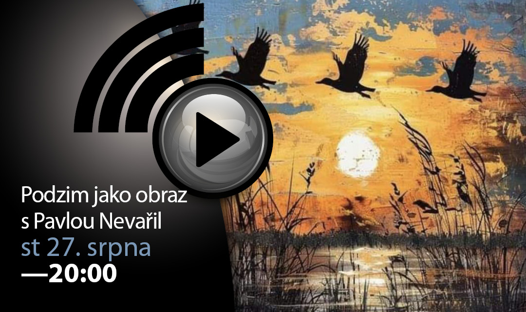 Podzim jako obraz s Pavlou Nevařil