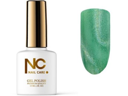 Nail Care Gel Polish Premium Quality - color 527