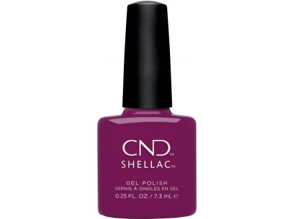 CND SHELLAC - Secret Diary