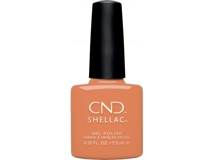 CND SHELLAC - Catch Of The Day