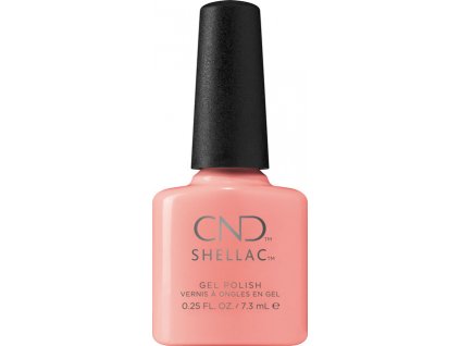 CND SHELLAC - Rule Breaker