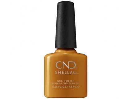 CND SHELLAC - Willow Talk