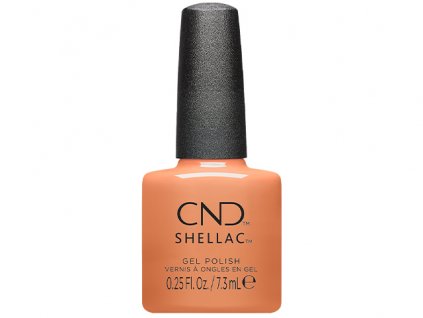 CND SHELLAC - Daydreaming