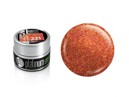 Platinum BOOSTER Color Gel - Rainbow - Bridget (221)