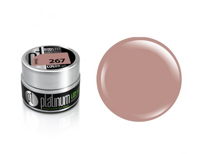 Platinum BOOSTER Color Gel - Edward (267)