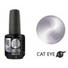 Platinum BOOSTER Color - Cat Eye Ceramic - Jar (651)