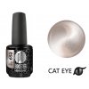Platinum BOOSTER Color - Cat Eye Ceramic - Pot (652)