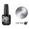 Platinum BOOSTER Color - Cat Eye Ceramic - Tray (670)