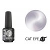 Platinum BOOSTER Color - Cat Eye Ceramic - Glaze - Smart (650)