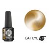 Platinum BOOSTER Color - Cat Eye Ceramic - Plate - Smart (657)