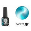 Platinum BOOSTER Color - Cat Eye Ceramic - Engoba - Smart (667)