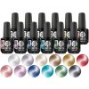 Platinum BOOSTER Color - Cat Eye Ceramic 12x15ml - Varianta 1