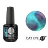 Platinum BOOSTER Color - Cat Eye Divine - Hades (741)