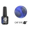 Platinum BOOSTER Color - Cat Eye Divine - Poseidon - Smart (742)