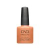 CND SHELLAC - Daydreaming