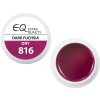 EBD EQ Dry Colour Gel - Dark Fuchsia