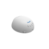 NCL PD2019 3.1504