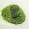 Lime Green Ultra Fine Nail Glitter Spill
