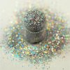 Silver Holographic Multi Glitz Nail Glitter Spill