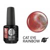Platinum BOOSTER Color - Cat Eye Rainbow - Zeppelin (456)