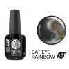 Platinum BOOSTER Color - Cat Eye Rainbow - Sabbath (468)