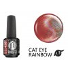 Platinum BOOSTER Color - Cat Eye Rainbow - Zeppelin - Smart (456)