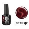 Platinum BOOSTER Color - Cat Eye Velvet - Bloodstone (589)