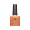 CND SHELLAC - Daydreaming