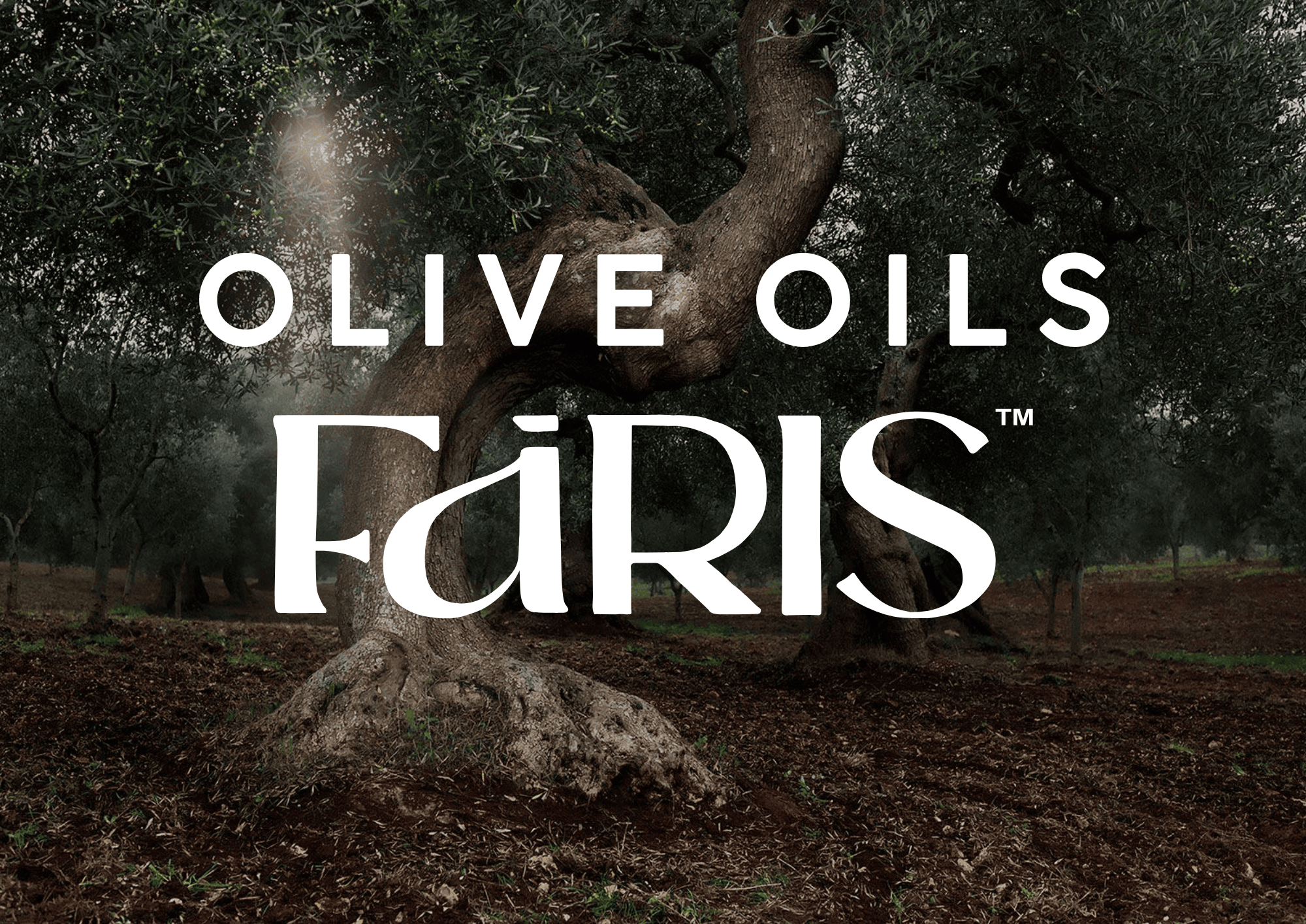 Faris Olive oils